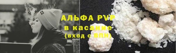 гашик Нефтекумск