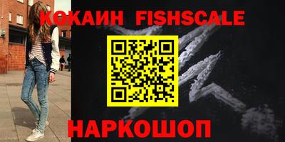 дмт Кингисепп