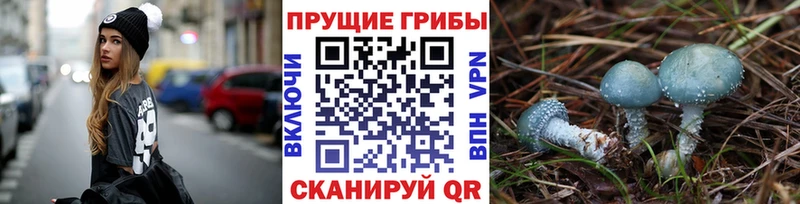 Псилоцибиновые грибы Psilocybe  kraken ONION  Каменка 