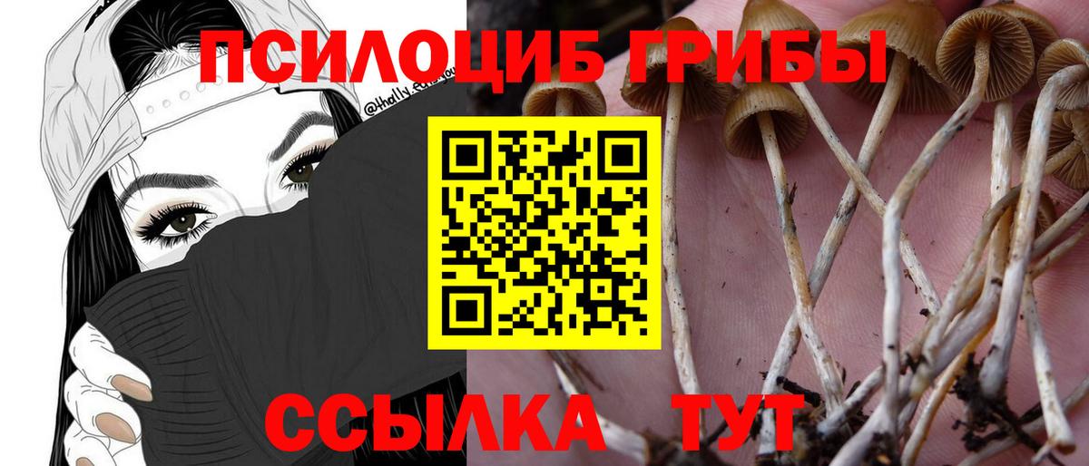 Псилоцибиновые грибы ЛСД  Каменка 