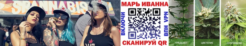 Канабис ГИДРОПОН где можно купить OMG вход Каменка